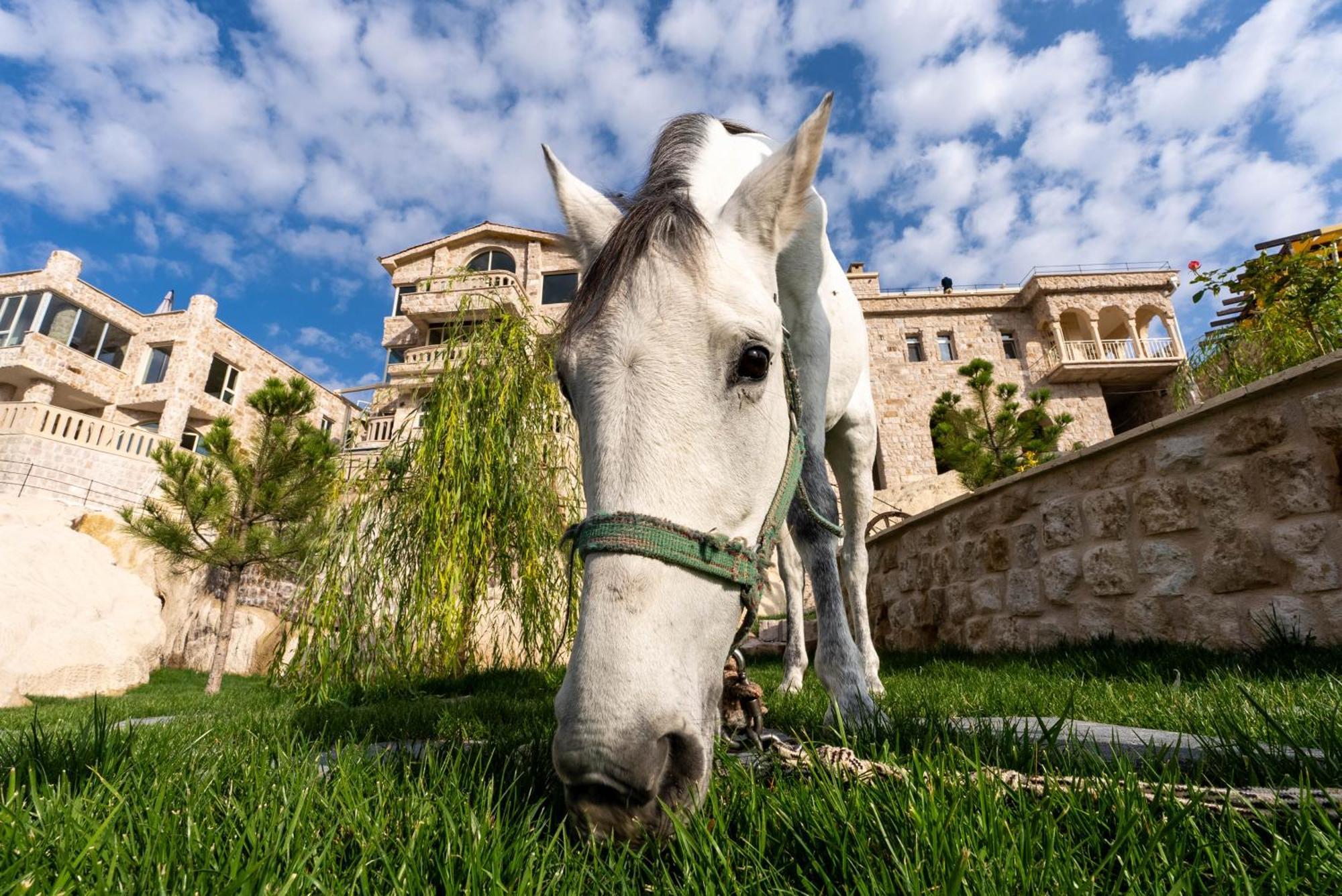 Be Still Alexa Smart Luxury Escape Adults Only Nevsehir Eksteriør bilde