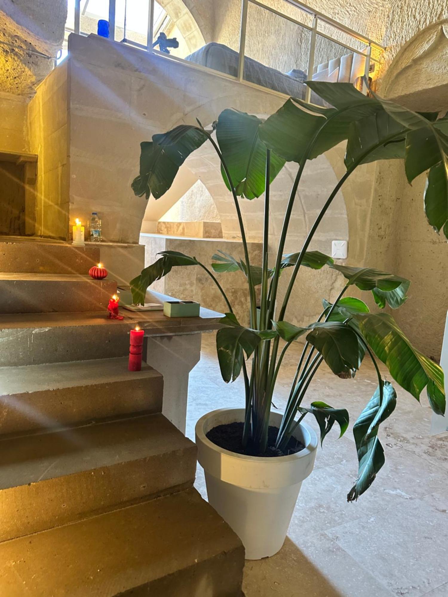 Be Still Alexa Smart Luxury Escape Adults Only Nevsehir Eksteriør bilde
